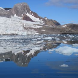 SuchaCoolReflection