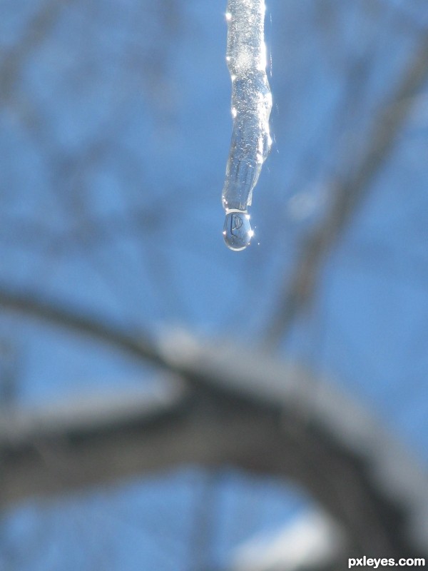 dripping ice