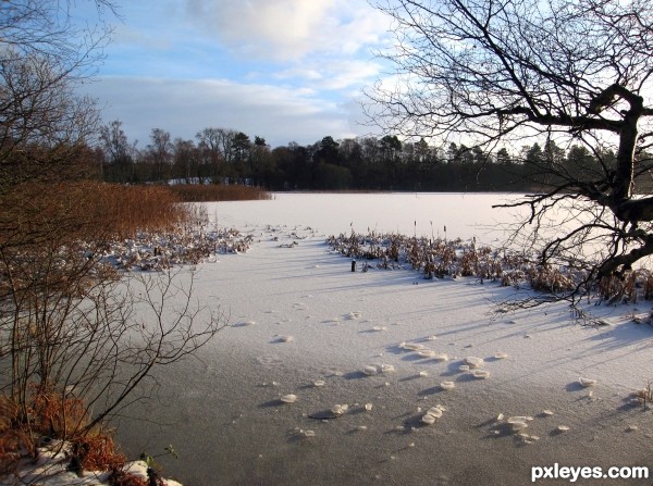 Frozen Pond