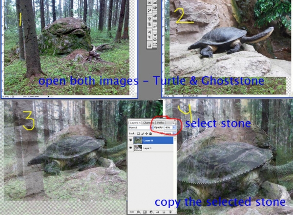 Creation of Water Dragon: Step 1