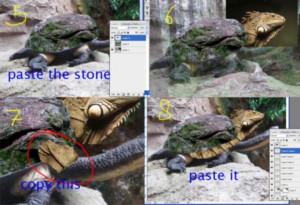 Creation of Water Dragon: Step 2