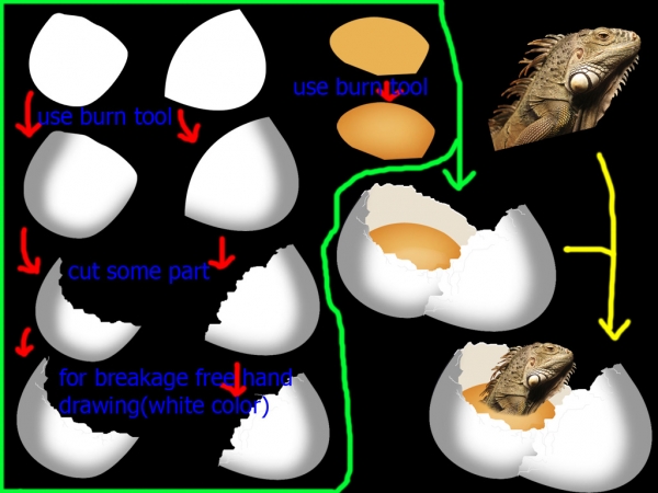 Creation of Baby iguana: Step 1