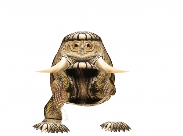 Creation of Space Iguana: Step 5