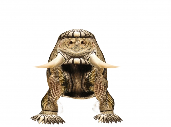 Creation of Space Iguana: Step 6