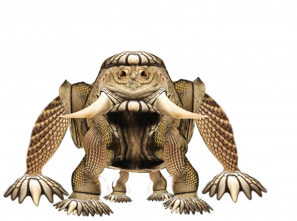 Creation of Space Iguana: Step 8