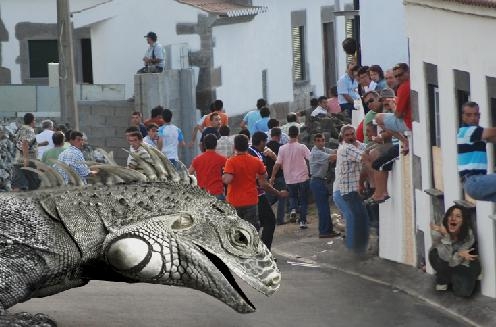 Creation of Iguamodo Dragon Attacks !!: Step 1