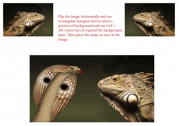 Creation of Cobra Vs Iguana...: Step 3