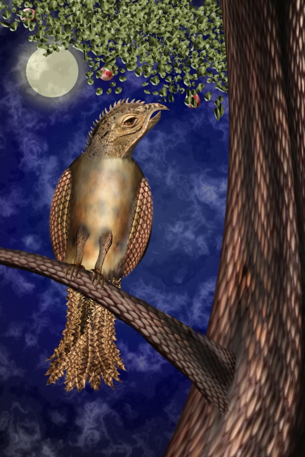 Creation of The unknown bird: Step 5