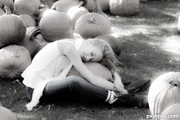 Anne Geddes pumpkins