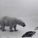 imitation photography contest