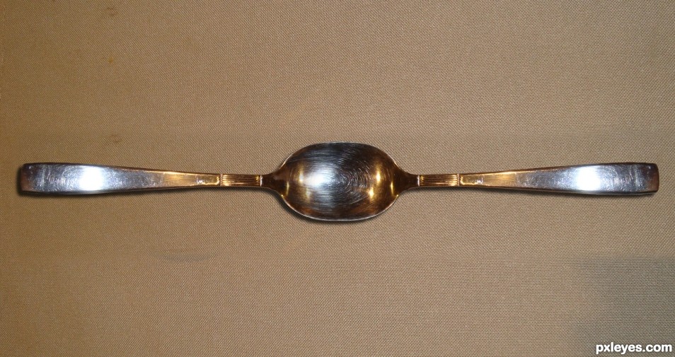 Double spoon