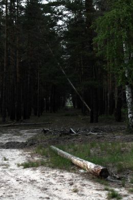 Через лес