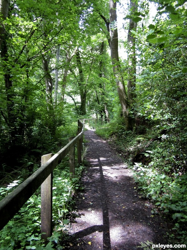 Talgarth Woods