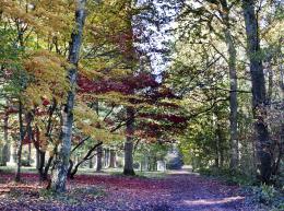 Queenswood