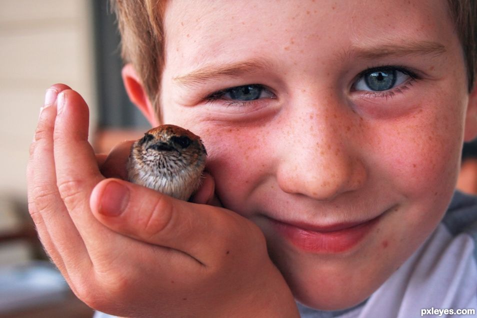 Bird in the hand