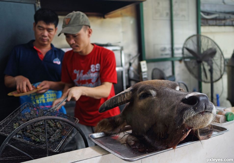 Preparing Buffalo Meat