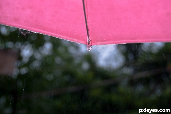 pink umbrella