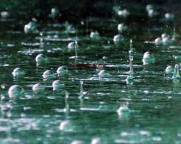 Rain in the pool Picture