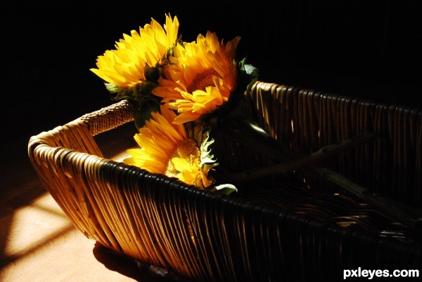 basket of flowers 