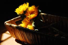 basket of flowers 