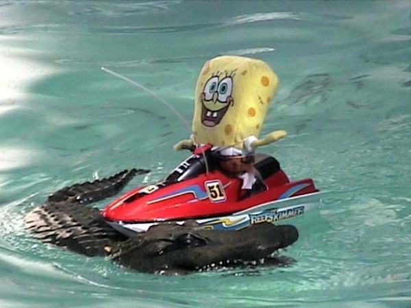 spongebob goes jetskiing