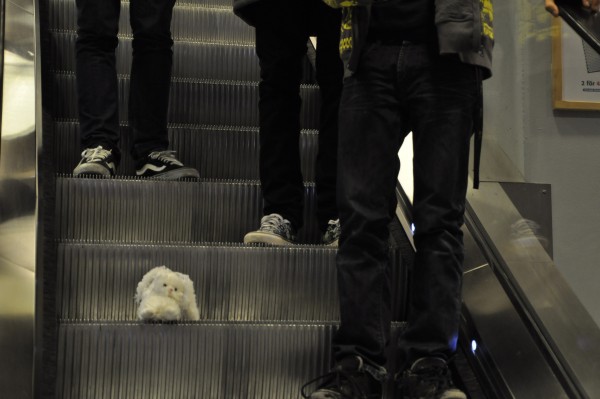 Bunny on escalator