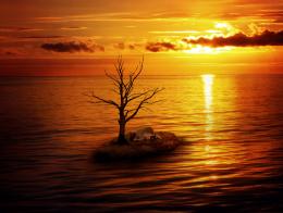 Alone