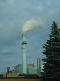 Energy Plant Picture