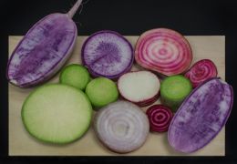 Onion and radishes