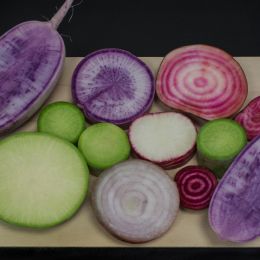 Onionandradishes