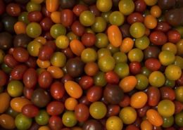 Tomatoes