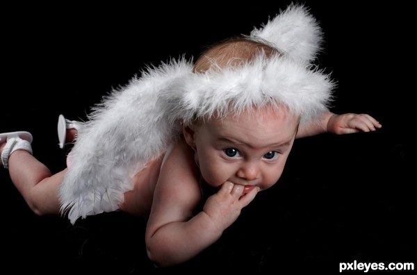 A baby..but also an angel :) photoshop picture)