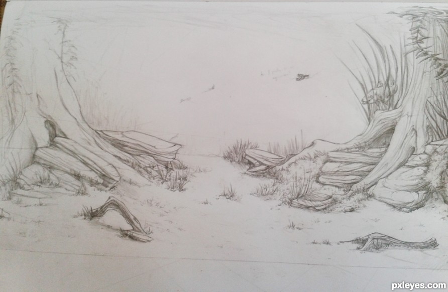 Creation of This is an Aquarium?: Step 3