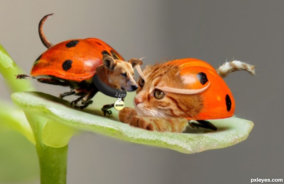 Creation of Lady Buggin: Step 3