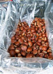 Chestnuts in a crate