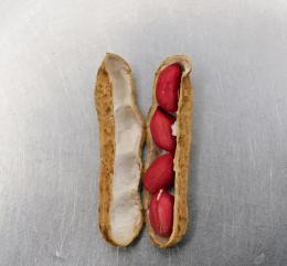 Groundnuts 