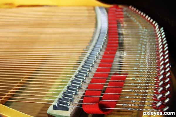 Inside Piano