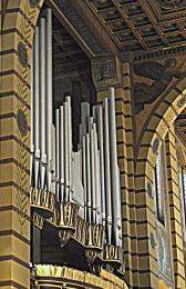 Organ