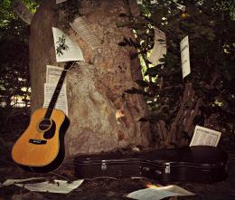 TheMusicintheTrees