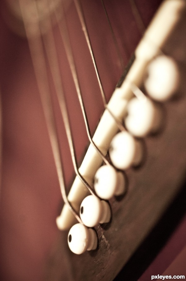 Tali gitar