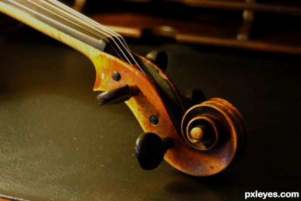 Violin details