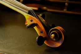 Violindetails