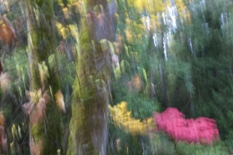Falling