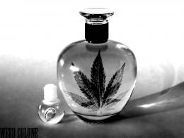 Weed colone