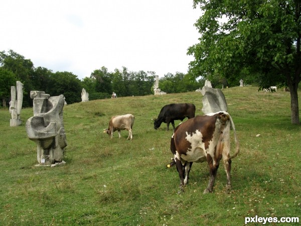 Exhibition of sculpture & cow