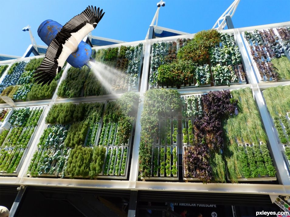 Stork Wing Watering Systems