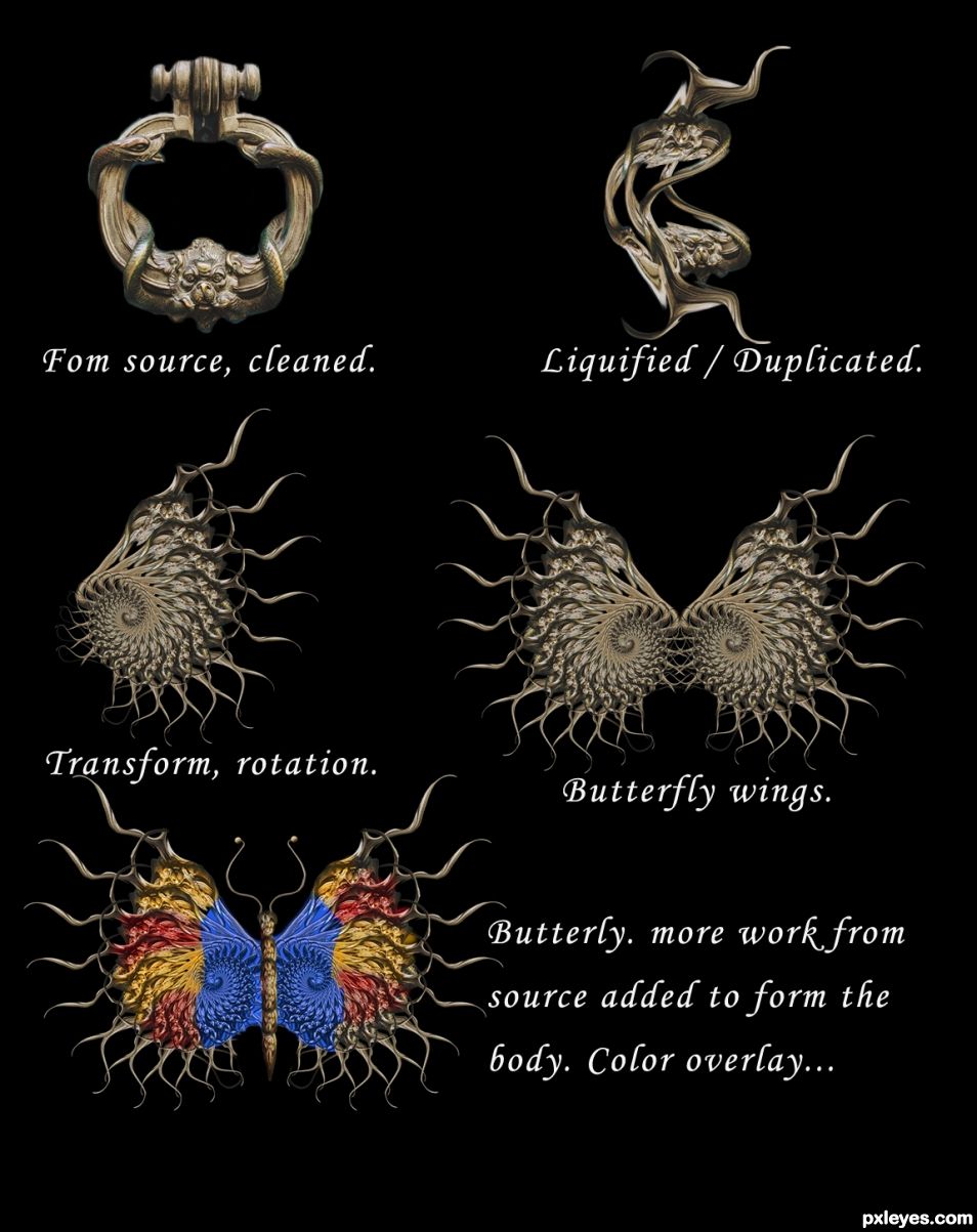 Creation of BUTTERFLY: Step 1