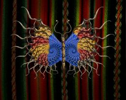BUTTERFLY