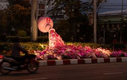 Night Blooms 