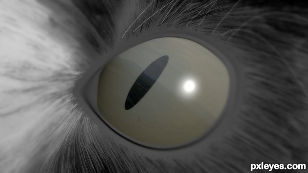 Cat eye